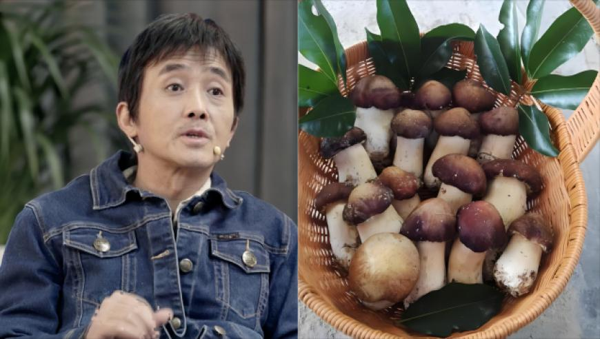 金价,澳门猪八戒网站资料下载免费,成语解释落实可能存在的问题_完整版V6.84
