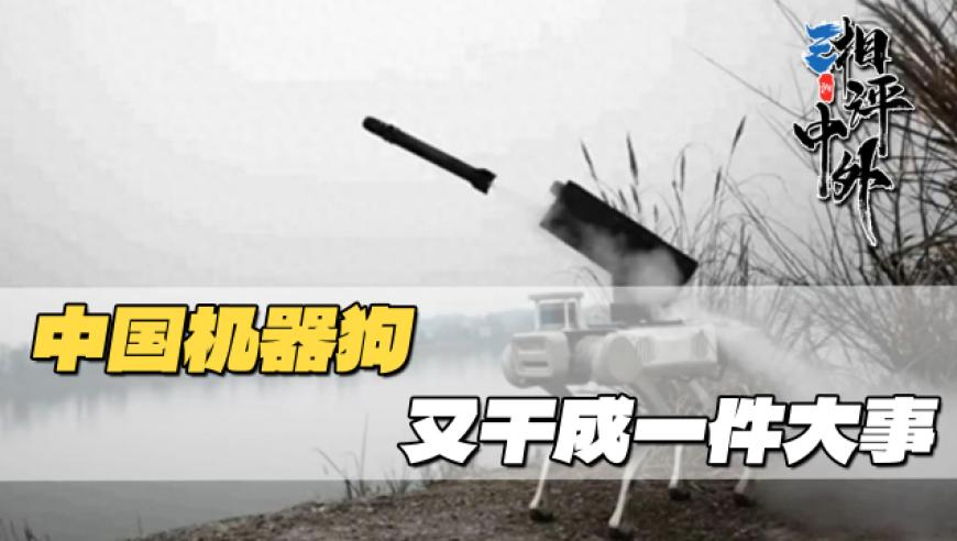 澳門管家婆三期三中,缅甸电诈受害者被殴打电击画面曝光,广泛的解释落实支持计划_升级版V15.57