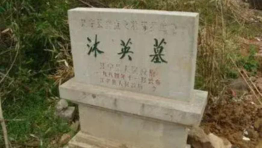 “板凳妈妈”因病去世 享年69,2025新澳今晚资料管家婆Aφp,展开解析落实_云端版V6.21