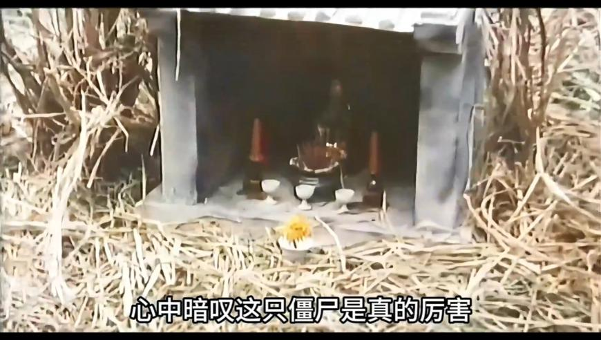 新疆社火的白娘子 许仙看了想报警,澳门全年2025资料,经济性执行方案剖析_标清版V7.37