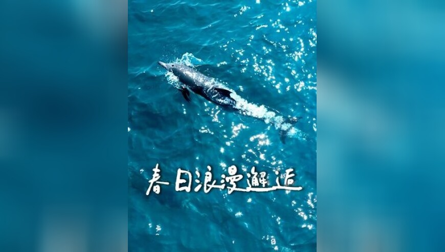 2025年管家婆一肖一码资料,走失19天不幸去世女子父亲发声,完美答案解释落实_精简版V1.74