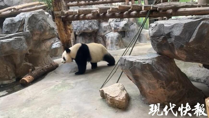 2025 新澳门管家婆精准一肖一码百分之百,男子相亲称在机关年入35万？假,精准解释落实及其象征意义_社交版V7.56